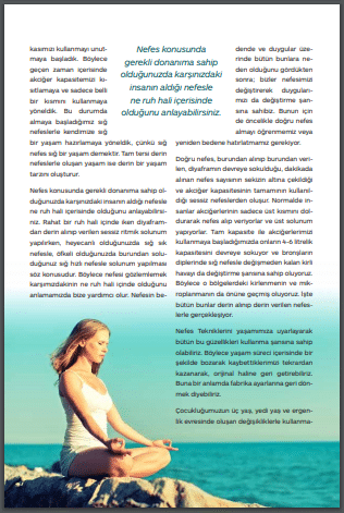 Sanayi Eczacıları dergi sayfası 2